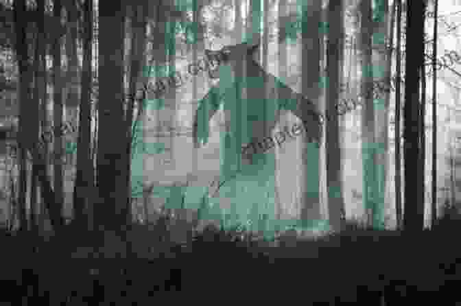 A Dogman Standing In A Forest Dogman Frightening Encounters: Volume 2 Tom Lyons