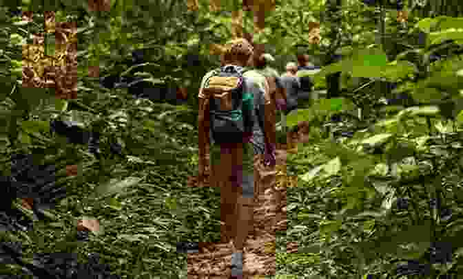 A Group Of People Trekking Through A Lush Rainforest Under The Arms Of The Sky: A Sailing Adventure