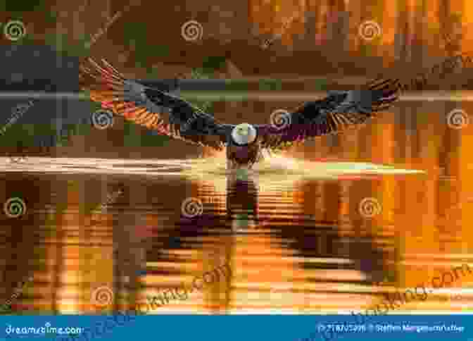 A Majestic Eagle Soars Overhead, Its Piercing Gaze Surveying The Peaceful Expanse Below A Second Chance At Eden