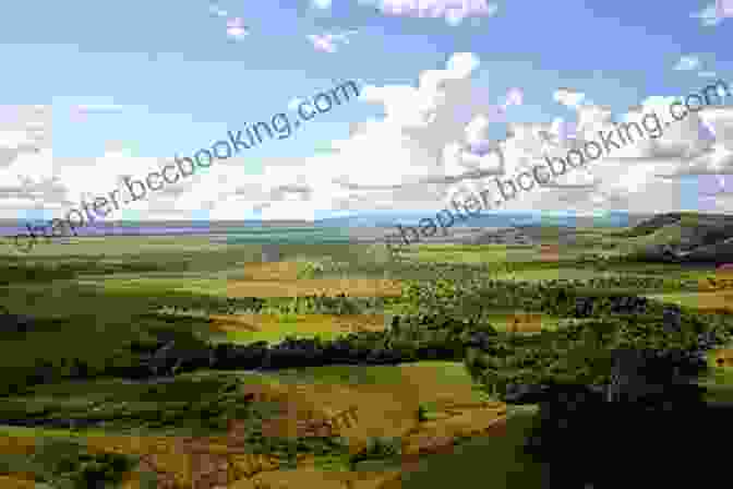 A Panoramic View Of The Vast And Grassy Llanos Of Venezuela, With A Herd Of Cattle Grazing In The Distance. Travels And Adventures In South And Central America: First Series: Life In The Llanos Of Venezuela