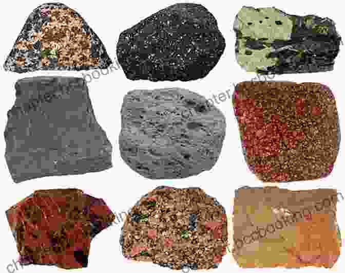 A Selection Of Rocks In Various Shapes, Sizes, And Textures, Ready For Painting. The Art Of Rock Painting: Techniques Projects And Ideas For Everyone