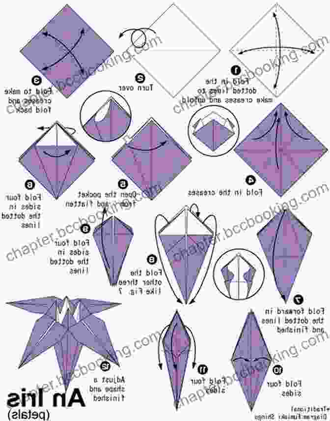 A Step By Step Origami Lesson, Illustrating The Detailed Instructions And Diagrams Origami Studio Ebook: 30 Step By Step Lessons With An Origami Master: Includes Origami With 30 Lessons And Downloadable Video Instructions