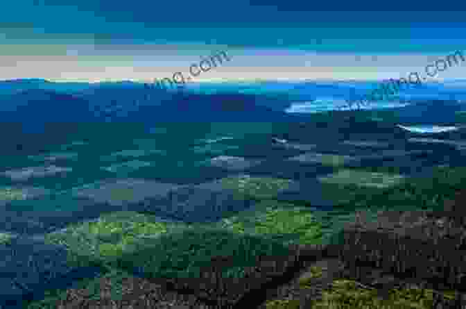 An Aerial Photograph Of A Checkerboard Landscape, Its Fields And Forests Forming A Geometric Pattern. CHATTERING TREE TOPS: Imposing Mountains Emergent Waters Blooms Blooming Checkerboards