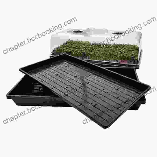Cultivating Microgreens In A Tray Using A Growing Kit Microgreen Grow Becoming A Microgreen Master Indoor Gardening For Profit Or Health: With On The Grow