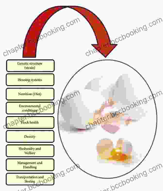 Factors Influencing Egg Quality HOW TO IMPROVE EGG QUALITY: The Smart Way To Get Pregnant
