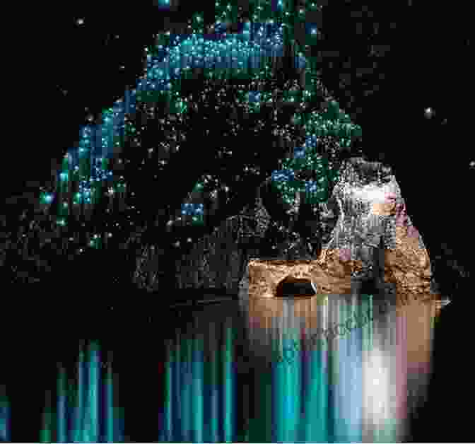 Glittering Glowworms Illuminating The Waitomo Caves New Zealand: Navigating Middle Earth