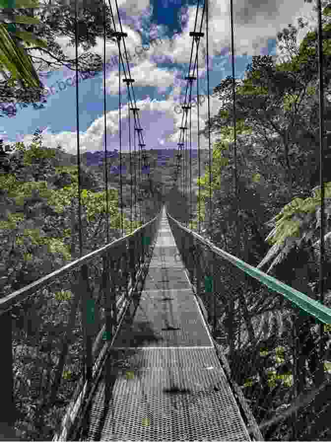 Hanging Bridges In Monteverde Cloud Forest Monteverde Cloud Forest: Costa Rica Guide