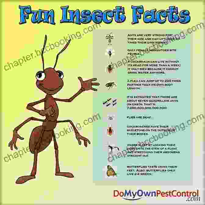 Hornet Fun Facts On Insects For Kids Book Hornet: Fun Facts On Insects For Kids #8