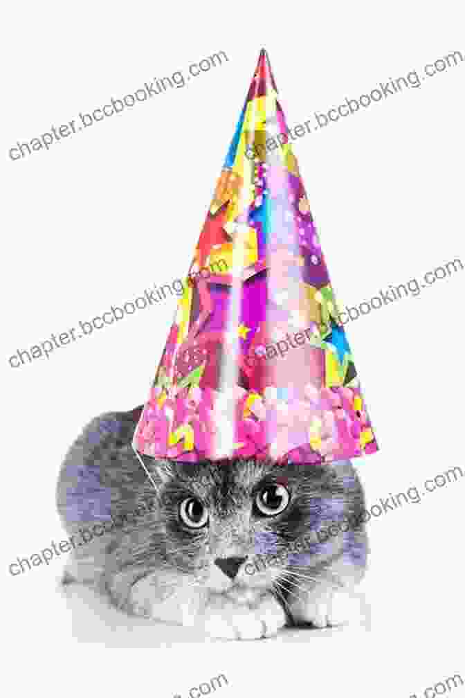 Image Of A Cat Wearing A Party Hat Mog S Birthday: A Special Birthday Story To Celebrate Fifty Years Of Everyone S Favourite Family Cat