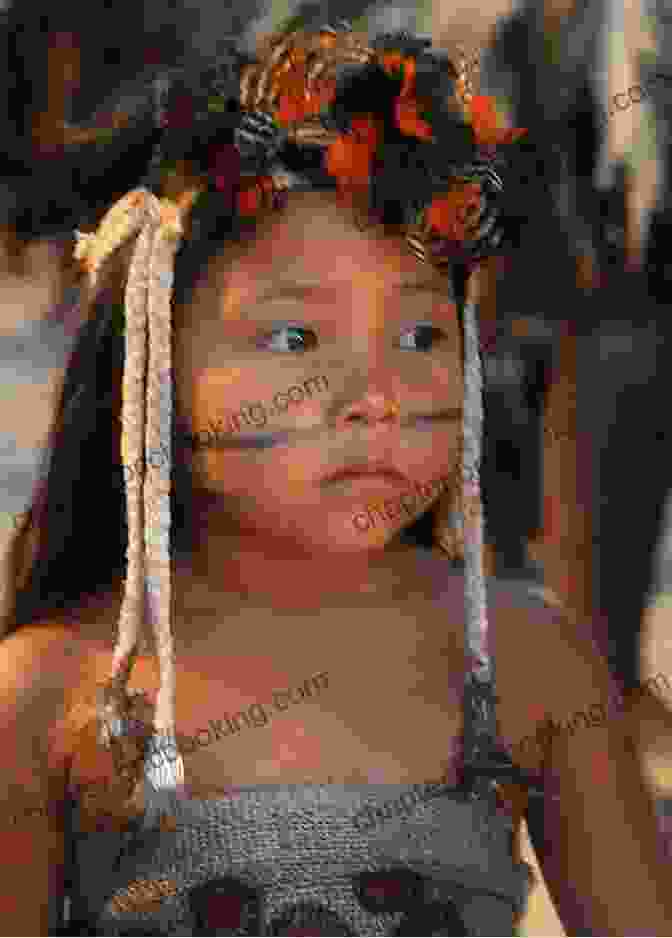 Indigenous People In Brazil The Human Tradition In Modern Brazil (The Human Tradition Around The World 7)