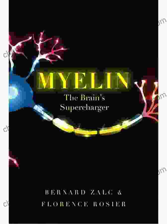 Myelin: The Brain Supercharger Book Cover Myelin: The Brain S Supercharger Natasha Campbell McBride