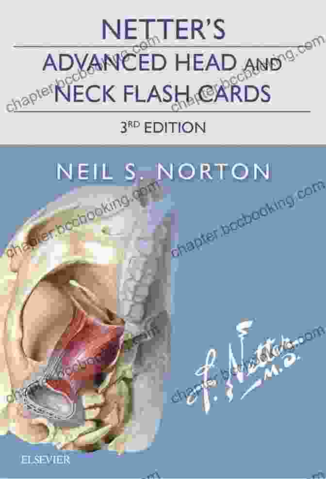 Netter Advanced Head And Neck Flash Cards Netter S Advanced Head And Neck Flash Cards E (Netter Basic Science)
