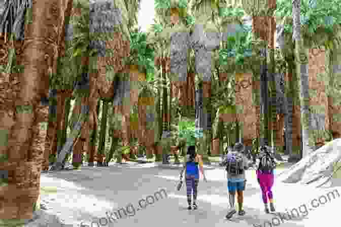 Palm Springs Hiking And Enjoying The Natural Beauty Of The Desert A Troubled Oasis: A Critical History Of Palm Springs California