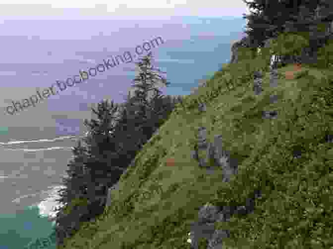 Rocky Shoreline And Secluded Cove Along Cape Lookout Trail, Oregon Coast 100 Hikes: Oregon Coast (Oregon Guidebooks)