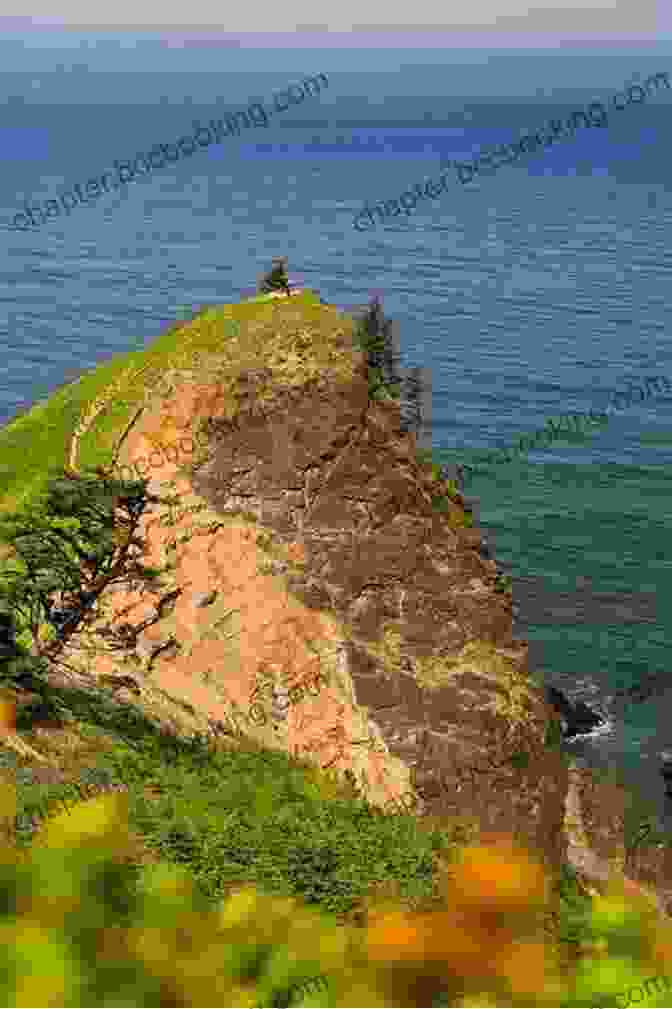 Rugged Coastline And Towering Headland At Cascade Head Trail, Oregon Coast 100 Hikes: Oregon Coast (Oregon Guidebooks)