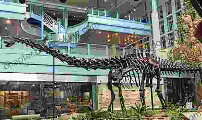 Skeleton Of Andrew Carnegie Dinosaur (Diplodocus Carnegii) Bone Wars: The Excavation And Celebrity Of Andrew Carnegie S Dinosaur
