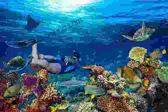 Snorkeling In A Vibrant Coral Reef In The Caribbean 12MUSTS 2024: The Caribbean Magazine Michelle Lawson