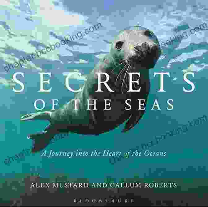 The Secret Of The Sea Book Cover Featuring A Diver Exploring The Depths Of The Ocean, Revealing A Hidden Underwater World. The Secret Of The Sea: Manga Fantasy Romance Comic Adult Version