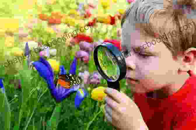Tommy Tiger Observing Insects With Magnifying Glass For Kids: Tommy Tiger Camp Adventure: Illustration (Ages 3 8) Short Stories For Kids Kids Bedtime Stories For Kids Children Early Readers