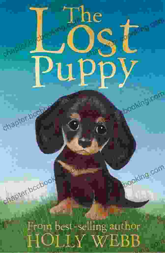 Where's The Puppy? Book Cover Featuring A Lost Puppy Looking Up At Children Where S The Puppy?: Search For Buster The Puppy And Over 101 Doggie Breeds (Search And Find Activity 14)