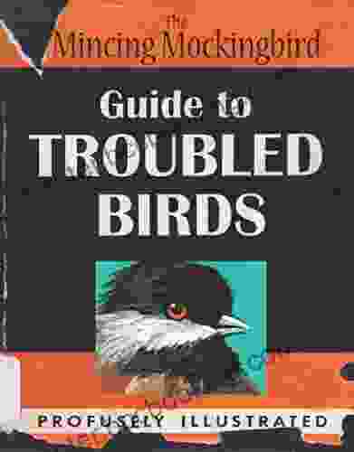 Guide To Troubled Birds Mockingbird The Mincing