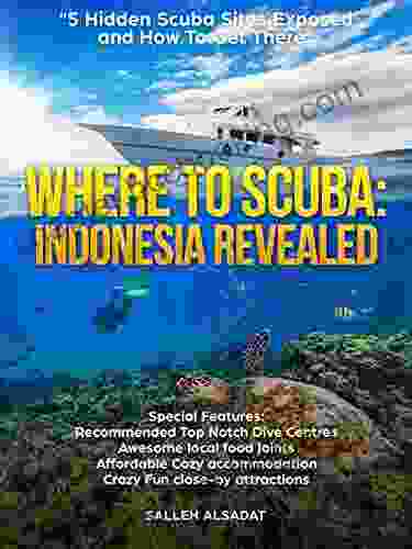 Where To Scuba: Indonesia Revealed: 5 Hidden Scuba Sites Exposed And How To Get There
