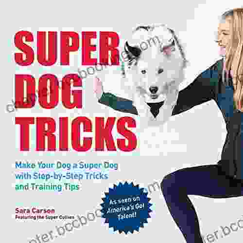 Super Dog Tricks: Make Your Dog A Super Dog With Step By Step Tricks And Training Tips As Seen On America S Got Talent