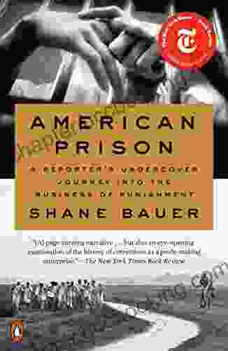 American Prison: A Reporter S Undercover Journey Into The Business Of Punishment