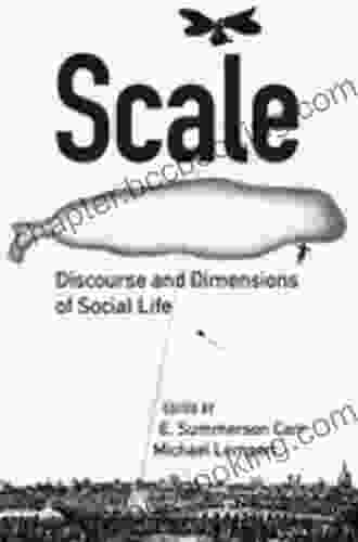 Scale: Discourse And Dimensions Of Social Life