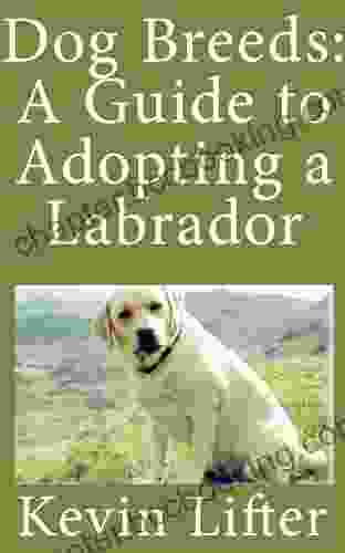 Dog Breeds: A Guide To The Labrador And What You Need To Know Before Adopting One