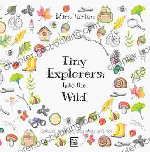 Tiny Explorers: Into The Wild: Outdoor Activities Play Ideas And Fun