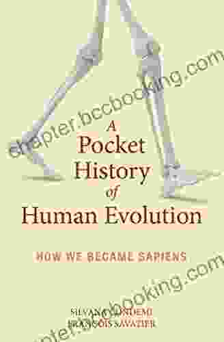 A Pocket History Of Human Evolution: How We Became Sapiens