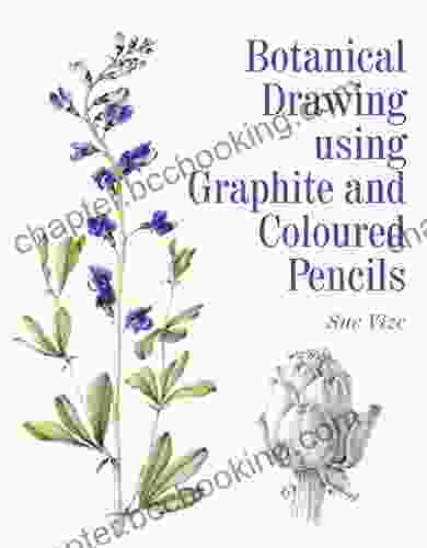 Botanical Drawing Using Graphite And Coloured Pencils