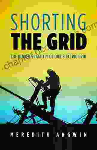 Shorting The Grid: The Hidden Fragility Of Our Electric Grid