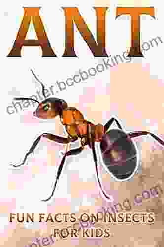 Ant: Fun Facts On Insects For Kids #13